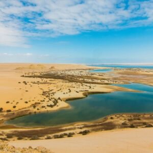 Fayoum Desert Tour