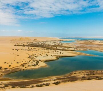 Fayoum Desert Tour