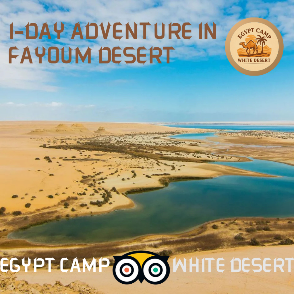 1-Day Adventure in Fayoum Desert