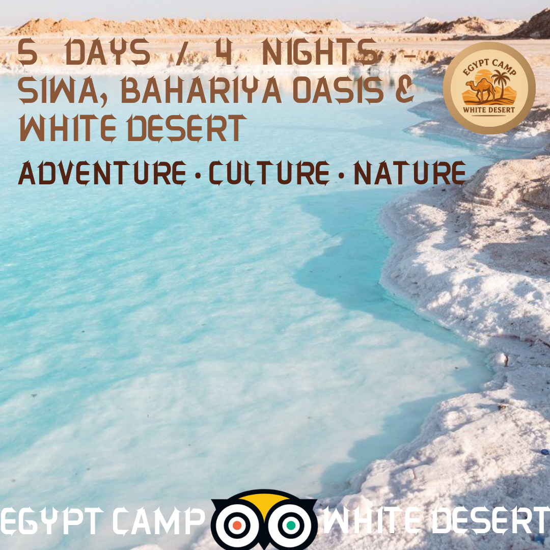 5 Days and 4 nights, Siwa, Bahariya Oasis and the White Desert
