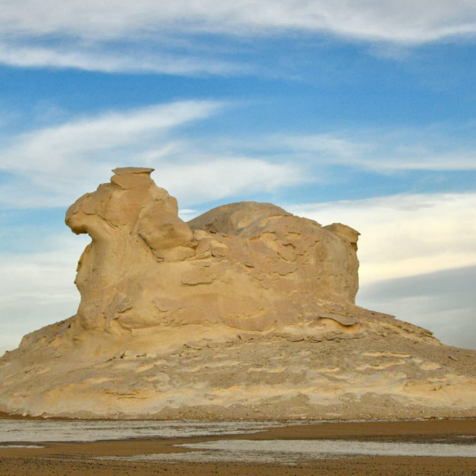 7-Day Tour Program(22)