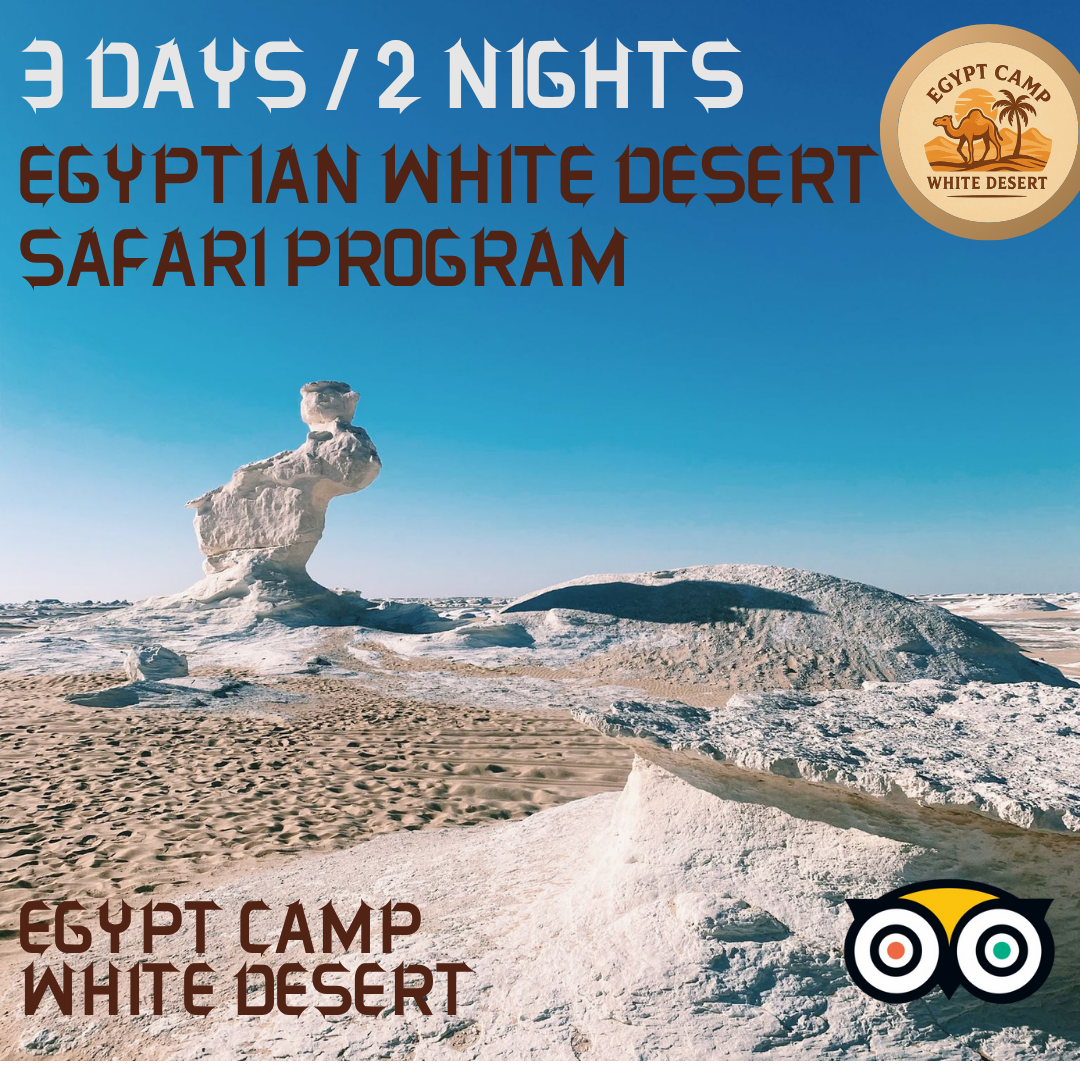 Egyptian White Desert Safari Program – 2 Nights & 3 Days