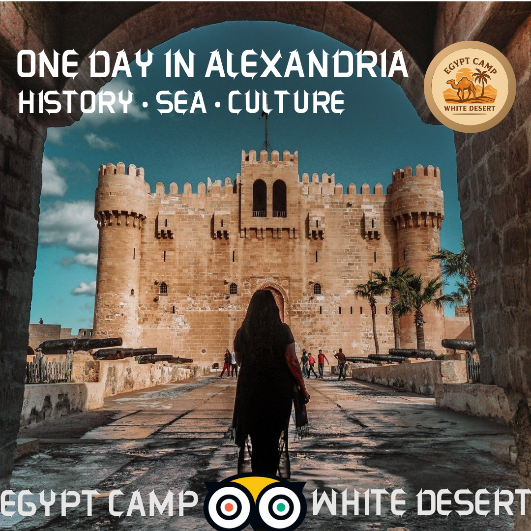 For a Day in Alexandria