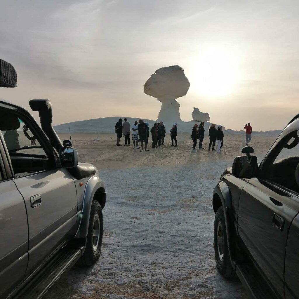 IMG 20250509 WA0075 1024x1024