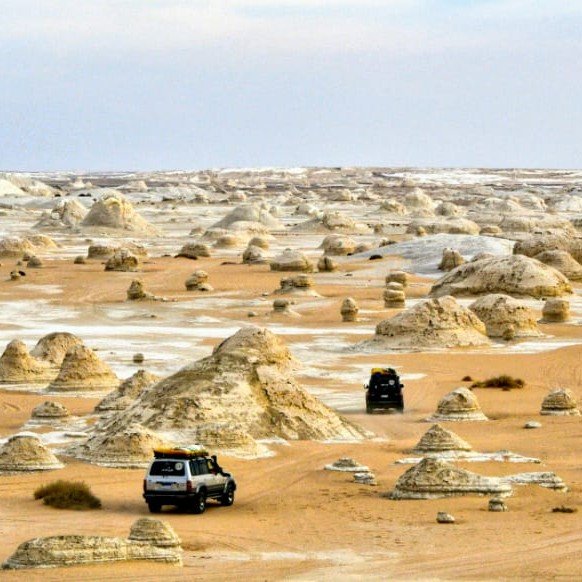 IMG-20250509-WA0082