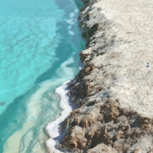 Siwa Oasis Tour
