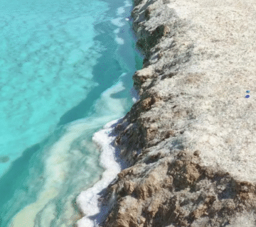 Siwa Oasis Tour