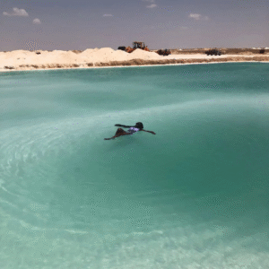 تصميم بدون عنوان (12)