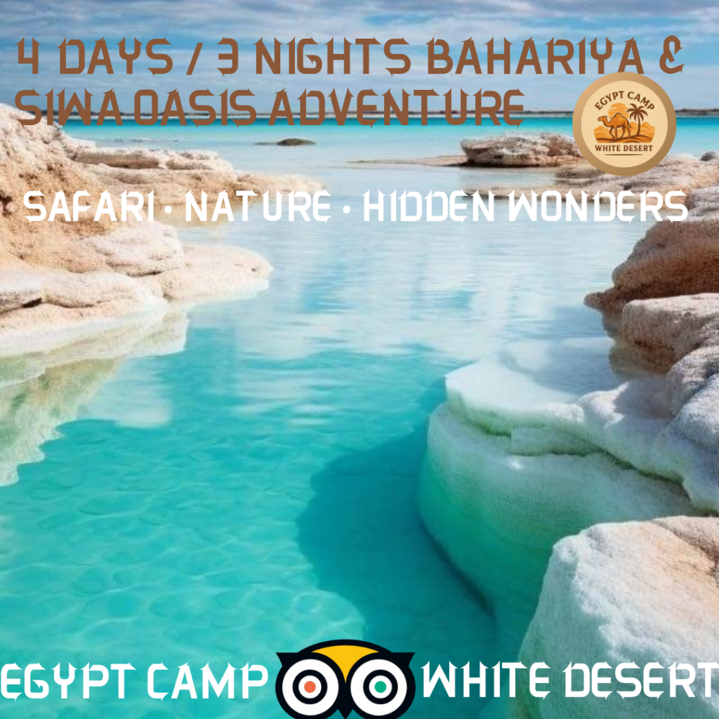 4 Days / 3 Nights Bahariya Oasis & Siwa Desert Adventure – Safari, Nature & Hidden Wonders
