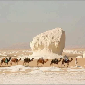 Camel-trek-in-Egypt’s-White-Desert