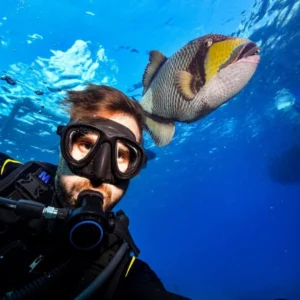 Dolphin-House-Visit-–-Swim-with-Wild-Dolphins