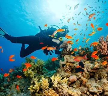 Hurghada Tours
