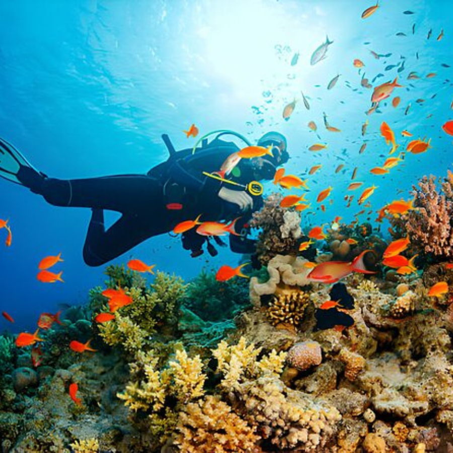 Hurghada Tours
