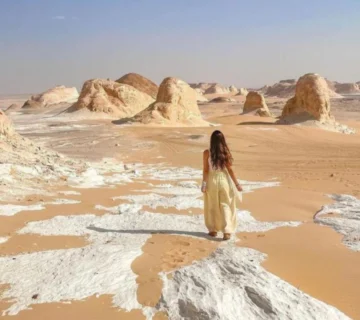 white-camp-desert