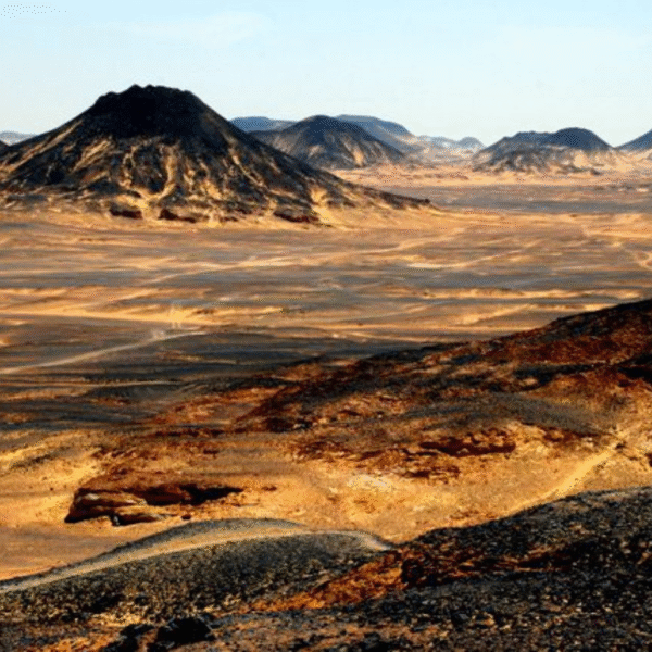 black desert trip