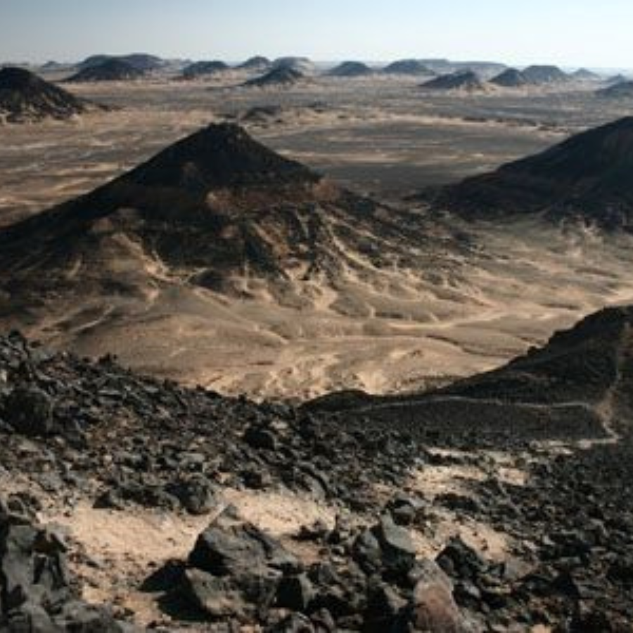 Black Desert Tour Egypt