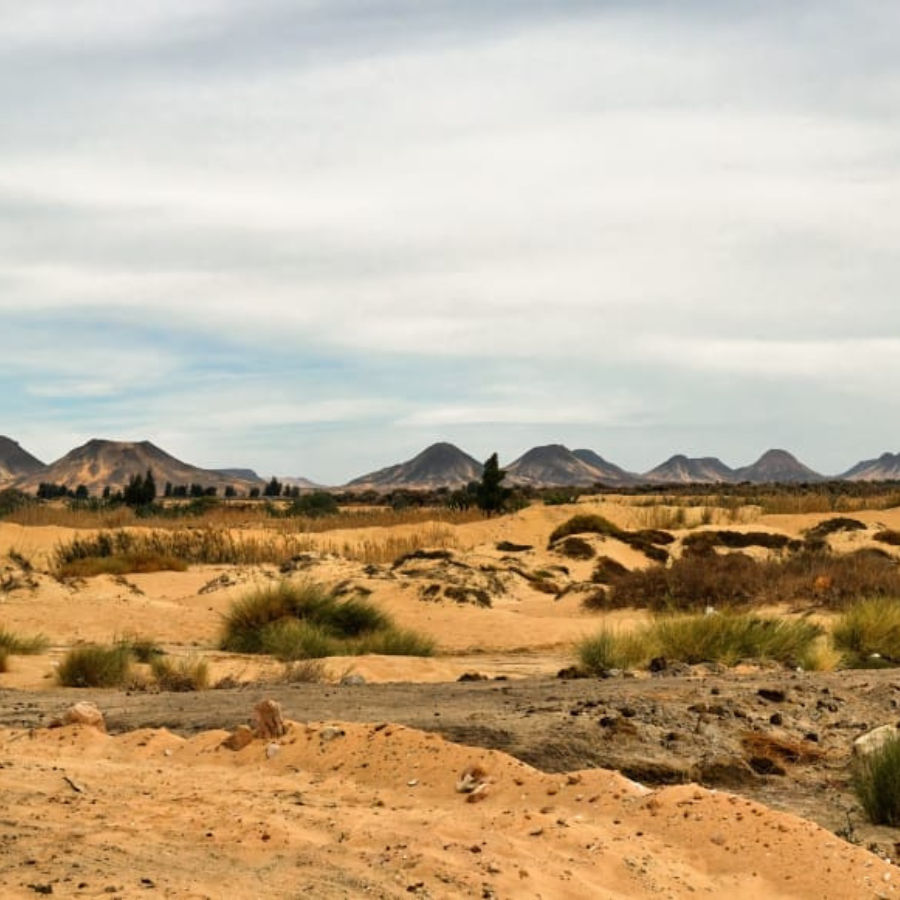 Camping experience in Egypt’s Black Desert safari