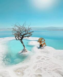 Siwa oasis trip