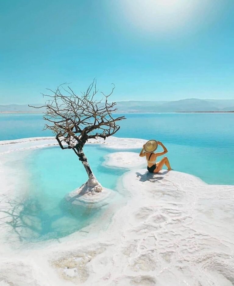 Siwa oasis trip