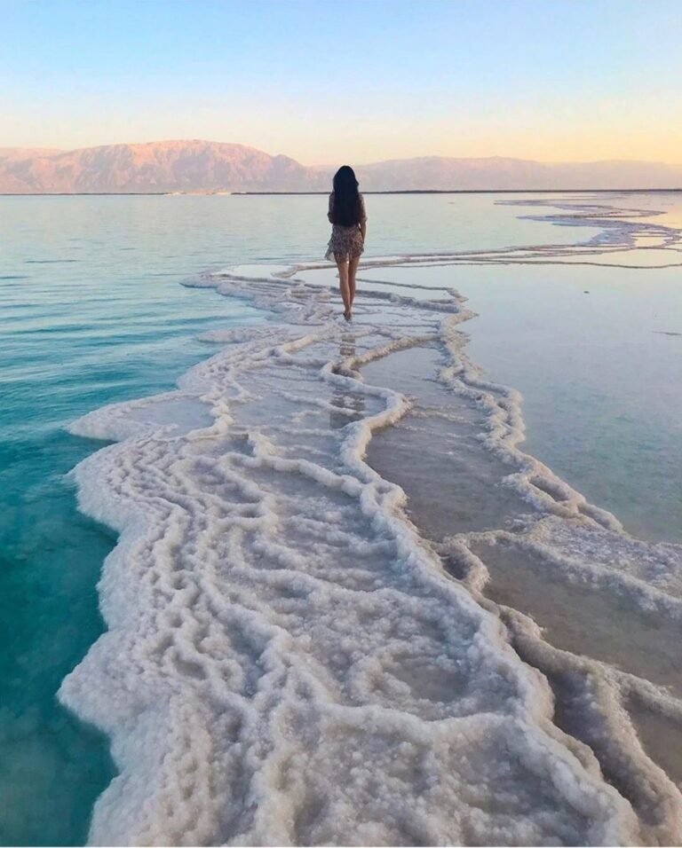 siwa oasis tour