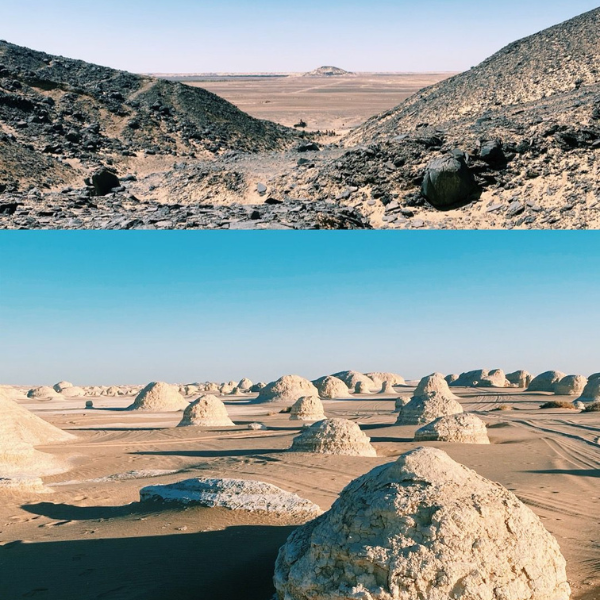 تصميم بدون عنوان 17