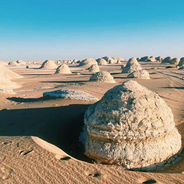 تصميم بدون عنوان 20