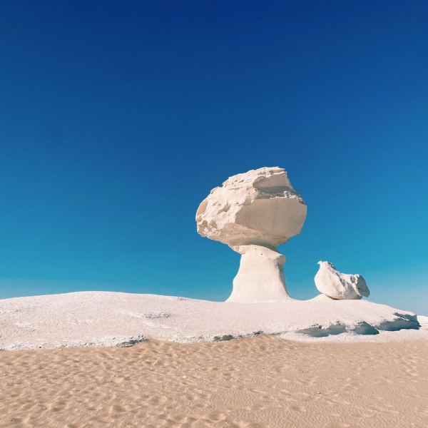 تصميم بدون عنوان 21