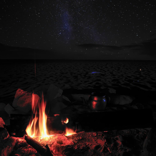 تصميم بدون عنوان 23