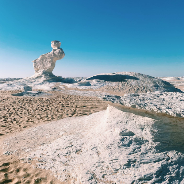 تصميم بدون عنوان 24