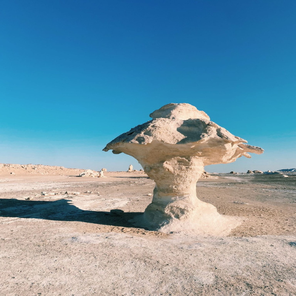 تصميم بدون عنوان 28