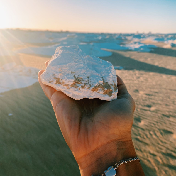 تصميم بدون عنوان 29