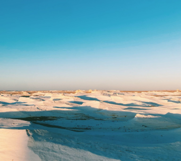 Best White Desert Safari Egypt