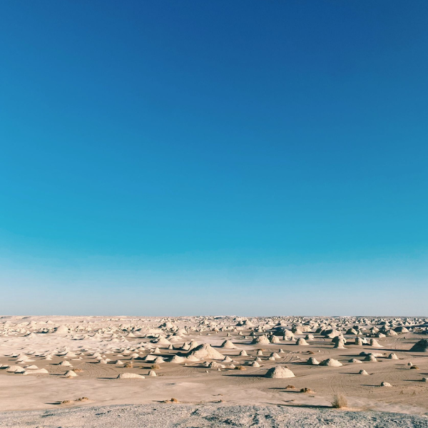 تصميم بدون عنوان 31