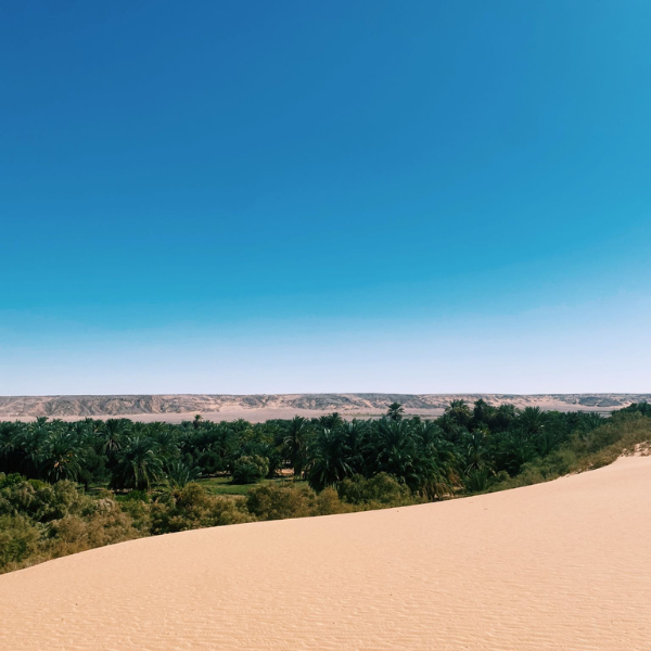 تصميم بدون عنوان 35