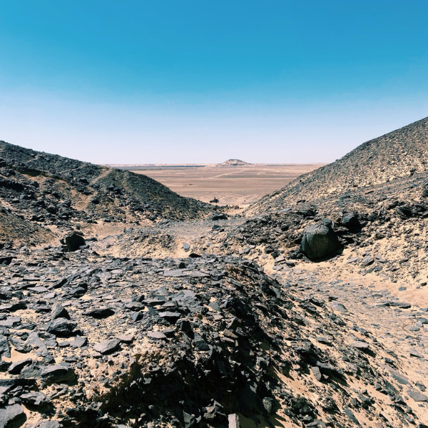 تصميم بدون عنوان 36