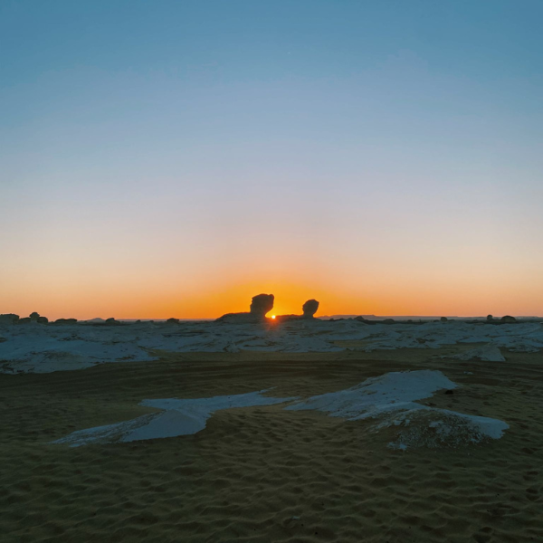 تصميم بدون عنوان 37