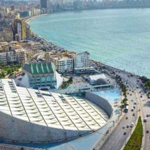 Alexandria library 1