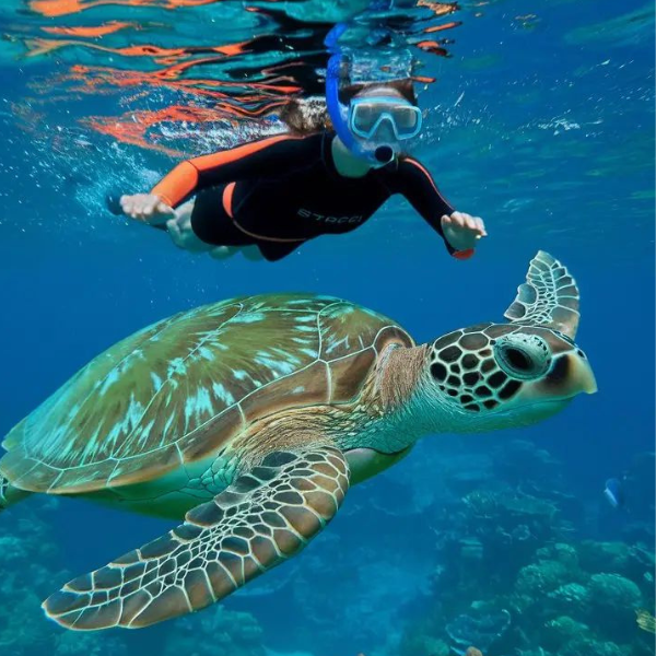 diving in the Red Sea (1)