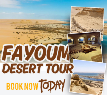 Fayoum desert tour  360x320