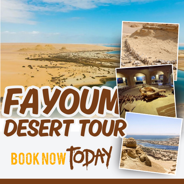 Fayoum desert tour