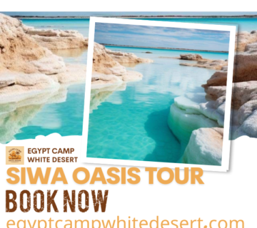 Siwa Oasis Tour