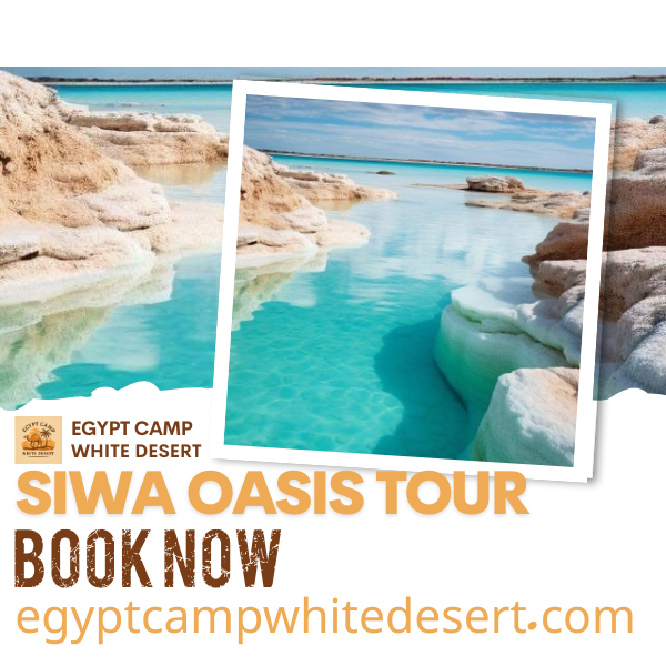 Siwa Oasis Tour