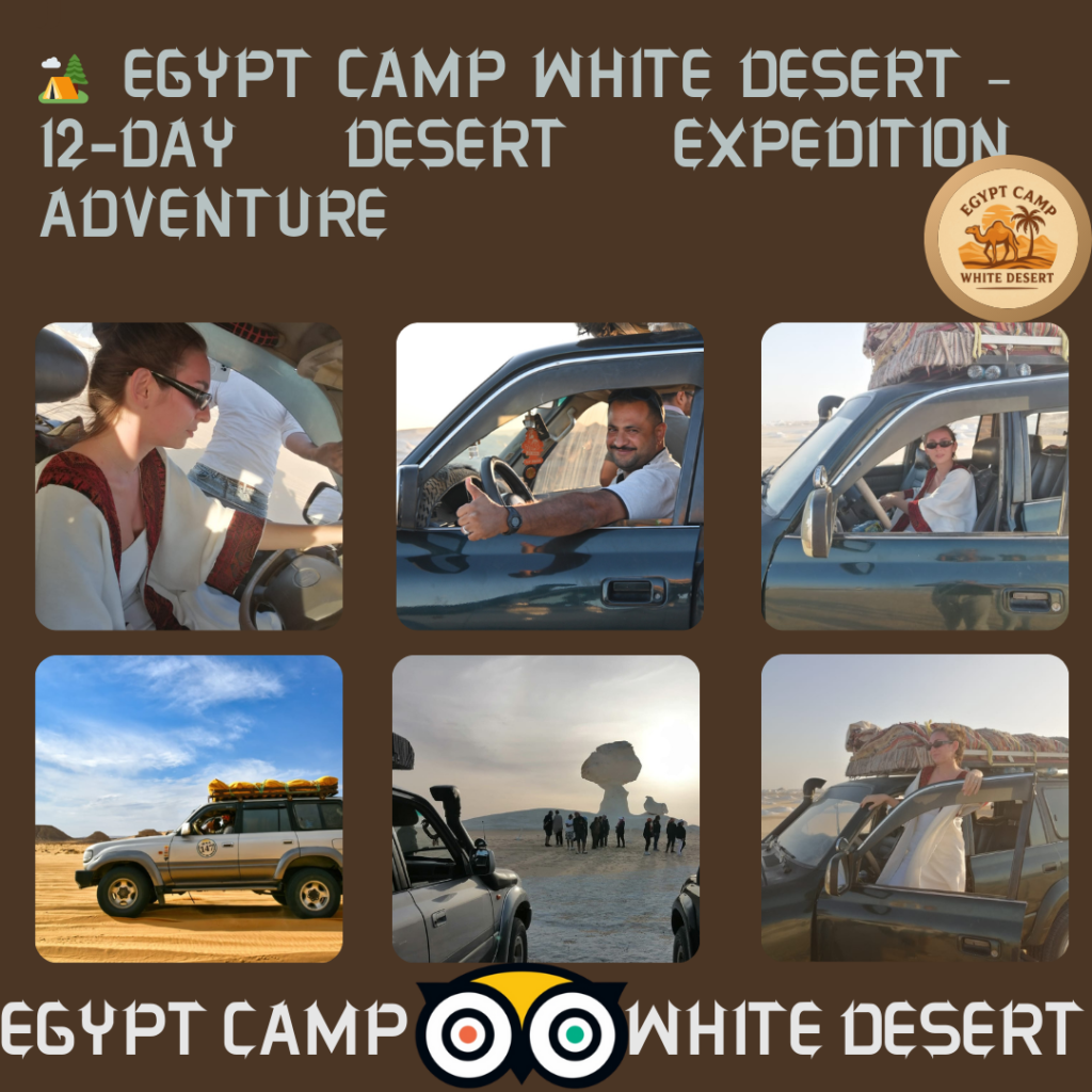 For True Off-Road Lovers – Drive Across Egypt’s Wild Deserts | 12-Day Expedition