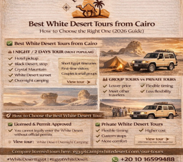 Best white desert tour, egypt camp white desert