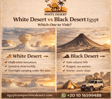 White desert VS Black Desert, Egypt camp white desert