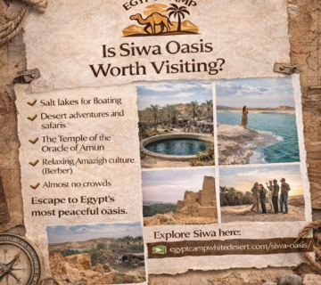 Is Siwa Oasis Worth visiting, Egypt camp white desert