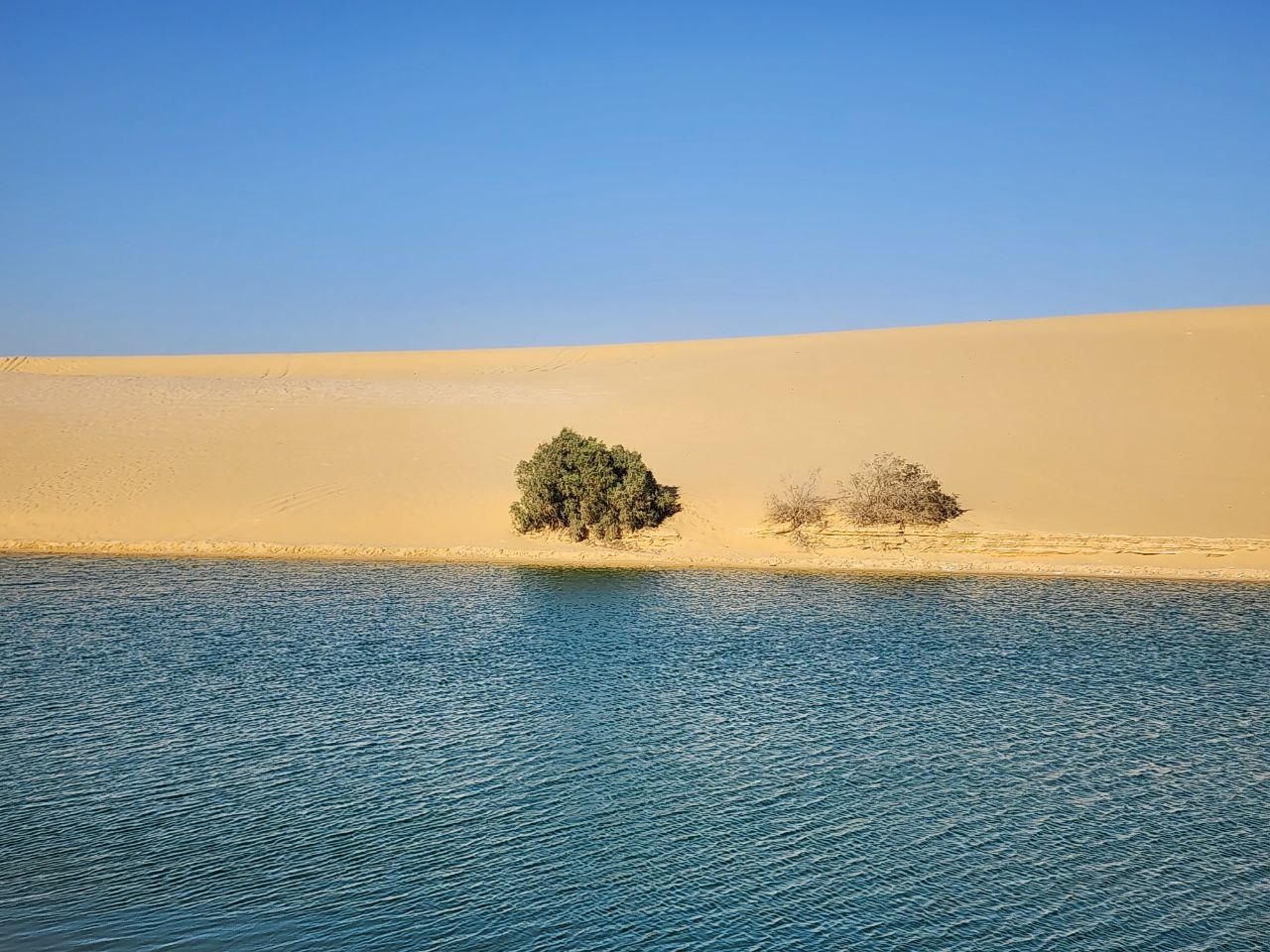 Fayoum