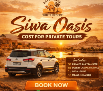 Siwa Oasis Cost, Egypt Camp White Desert