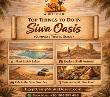 Top Things to Do in Siwa Oasis, Egypt Camp White Desert