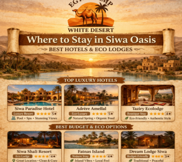 Where to Stay in Siwa Oasis, Egypt Camp White Desert